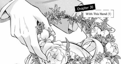 Chapter 30
